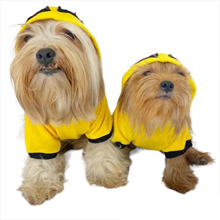Yellow Lux Duo Kapşonlu Sweatshirt Köpek Kıyafeti Köpek Elbisesi 