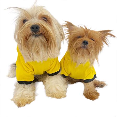 Yellow Lux Duo Kapşonlu Sweatshirt Köpek Kıyafeti Köpek Elbisesi 
