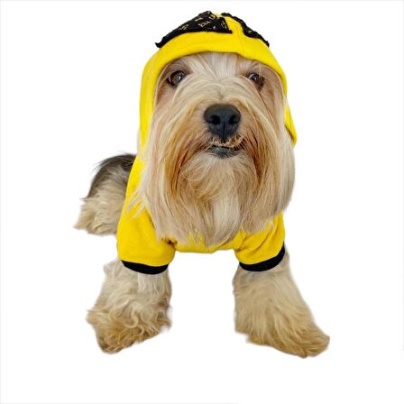 Yellow Lux Duo Kapşonlu Sweatshirt Köpek Kıyafeti Köpek Elbisesi 