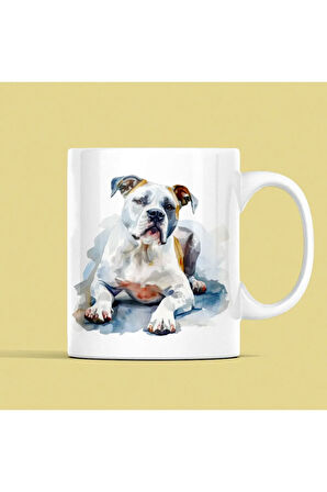 Pitbull Terrier Kupa