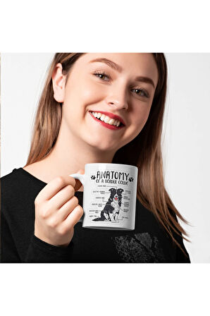 Border Collie Köpekli Kupa