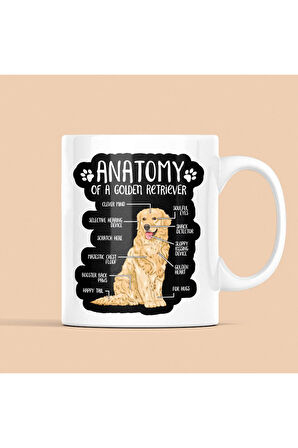 Golden Retriever Köpekli Kupa