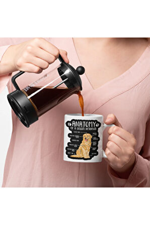 Golden Retriever Köpekli Kupa