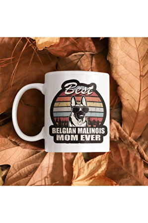 Belçika Malinois, Belgian Malinois, Belçika Kurdu, Belçika Kurdu Annesi Kahve Kupası. K9 Kupa