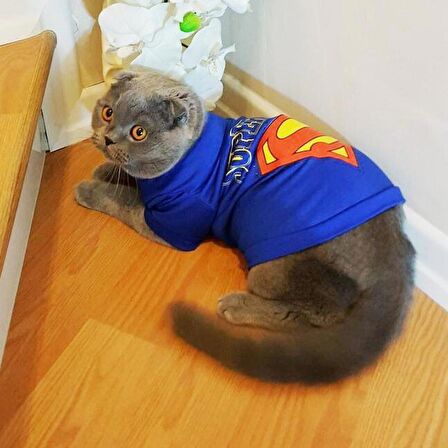 SUPERMAN Kedi Tişört Dual