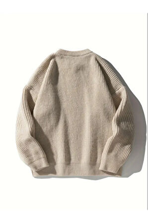 Erkek Regular Fit Bisiklet Yaka Örgülü Triko