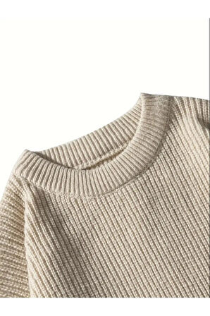 Erkek Regular Fit Bisiklet Yaka Örgülü Triko