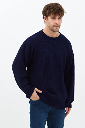 Erkek Lacivert Regular Fit Bisiklet Yaka Örgülü Triko