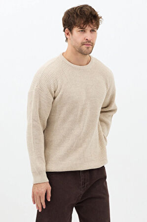 Erkek Bej Regular Fit Bisiklet Yaka Örgülü Triko