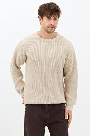 Erkek Bej Regular Fit Bisiklet Yaka Örgülü Triko