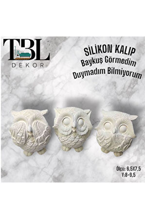 Baykuş Görmedim-Duymadım-Bilmiyorum