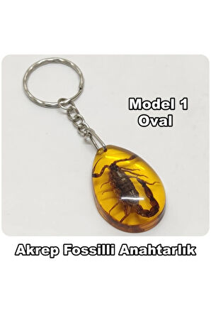 Akrep Fosilli - Toz Kehribar Anahtarlık - 4 Model