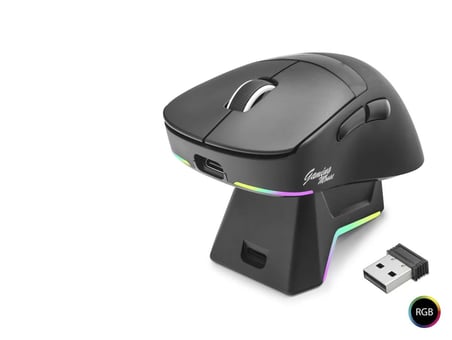 Kablosuz Gaming Rgb Mouse Şarj Standlı - Siyah MF1216B