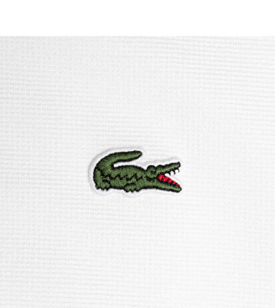 Lacoste Erkek Bloklu T-Shirt