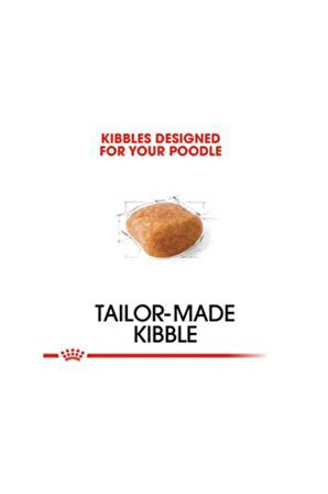 Poodle Yetişkin Köpek Maması-3 Kg