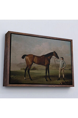 Ahşap Çerçeveli George Stubbs'Un Uzun Bacaklı At Ve Jokeyi Tablosu - Molly Long-Legs With Her Jockey-7012