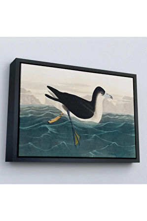 Ahşap Çerçeveli Robert Havell, John James Audubon Esmer Kuş Tablosu-7034