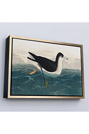 Ahşap Çerçeveli Robert Havell, John James Audubon Esmer Kuş Tablosu-7034