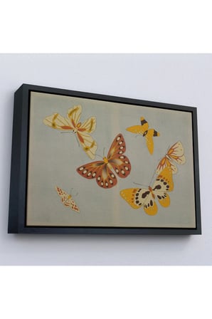 Ahşap Çerçeveli Vintage Japon Kelebeği Tablosu-7040