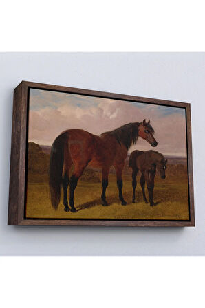 Ahşap Çerçeveli Kısrak Ve Tay Tablosu-7047