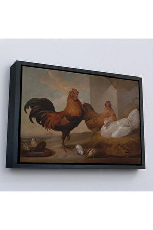 Ahşap Çerçeveli Francis Barlow - Evcil Horoz, Tavuklar Ve Civcivler Tablosu-7067