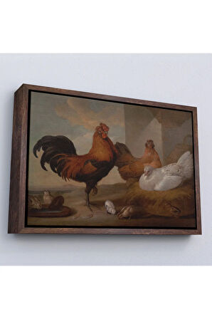 Ahşap Çerçeveli Francis Barlow - Evcil Horoz, Tavuklar Ve Civcivler Tablosu-7067