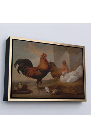 Ahşap Çerçeveli Francis Barlow - Evcil Horoz, Tavuklar Ve Civcivler Tablosu-7067