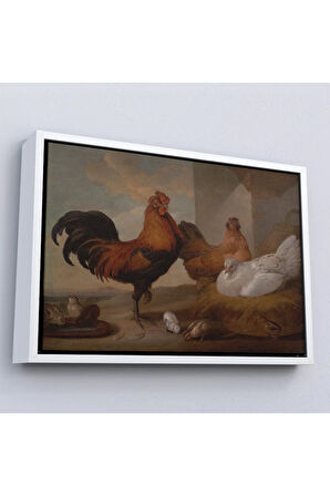 Ahşap Çerçeveli Francis Barlow - Evcil Horoz, Tavuklar Ve Civcivler Tablosu-7067