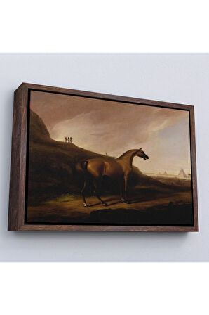 Ahşap Çerçeveli Alvan Fisher - Napolyon'Un Atı Tablo - Napoleon’S Horse-7100