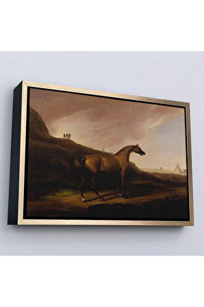 Ahşap Çerçeveli Alvan Fisher - Napolyon'Un Atı Tablo - Napoleon’S Horse-7100