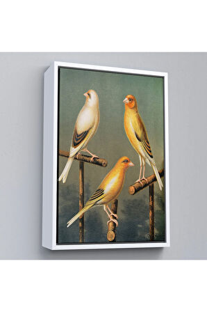 Ahşap Çerçeveli Blakston - Sarı Saka Kuşu Ve KaTTÇ.KNVya Tablosu-7311