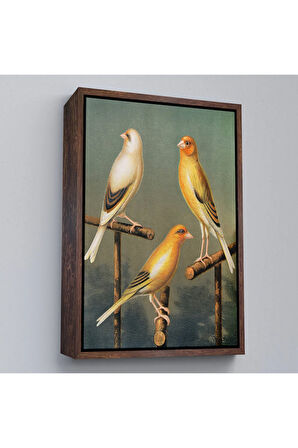 Ahşap Çerçeveli Blakston - Sarı Saka Kuşu Ve KaTTÇ.KNVya Tablosu-7311