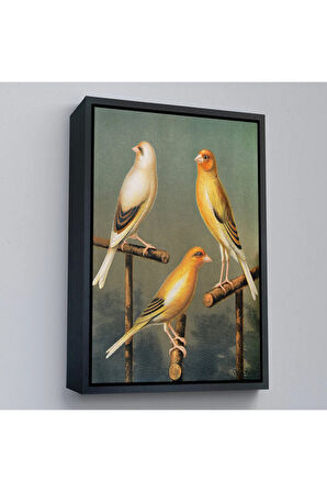 Ahşap Çerçeveli Blakston - Sarı Saka Kuşu Ve KaTTÇ.KNVya Tablosu-7311