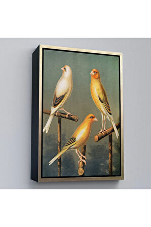 Ahşap Çerçeveli Blakston - Sarı Saka Kuşu Ve KaTTÇ.KNVya Tablosu-7311