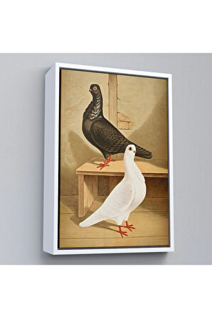 Ahşap Çerçeveli Gustav Prütz - Sevimli İtalyan Güvercinleri Tablo-7320