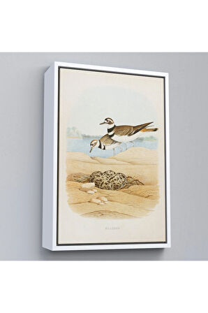 Ahşap Çerçeveli Edwin L. Sheppard - Öldürücü Tablo - Killdeer-7338