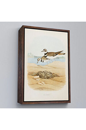 Ahşap Çerçeveli Edwin L. Sheppard - Öldürücü Tablo - Killdeer-7338
