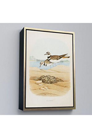 Ahşap Çerçeveli Edwin L. Sheppard - Öldürücü Tablo - Killdeer-7338
