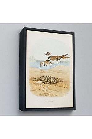 Ahşap Çerçeveli Edwin L. Sheppard - Öldürücü Tablo - Killdeer-7338