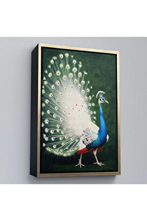 Ahşap Çerçeveli Tavuz Kuşu Tablo-7571