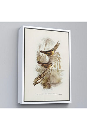 Ahşap Çerçeveli Dal Üzerindeki Kuşlar Tablosu-8022