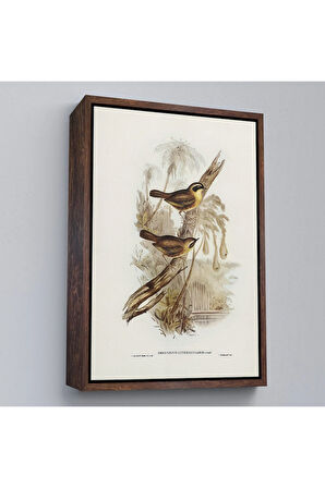 Ahşap Çerçeveli Dal Üzerindeki Kuşlar Tablosu-8022