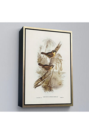 Ahşap Çerçeveli Dal Üzerindeki Kuşlar Tablosu-8022