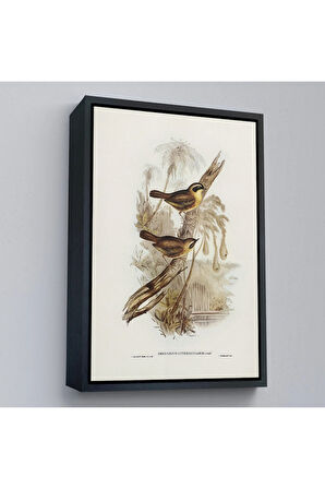 Ahşap Çerçeveli Dal Üzerindeki Kuşlar Tablosu-8022