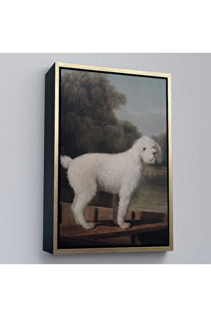 Ahşap Çerçeveli George Stubbs Beyaz Kaniş Tablo-8034