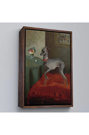 Ahşap Çerçeveli Kırmızı Yastık Üzerinde Bir İtalyan Tazısı Tablo-8061