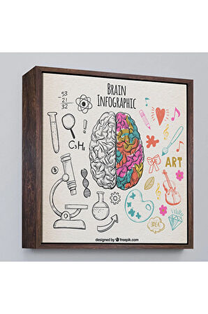 Ahşap Çerçeveli Fantastik İnsan Beyni Tablosu - Beyin Cerrahi Hastanesi Hediyesi-8305