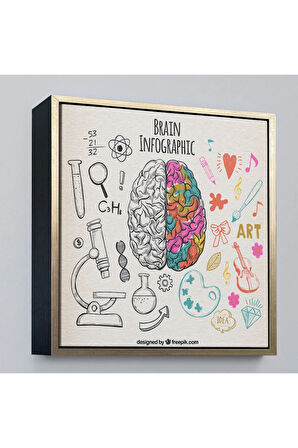 Ahşap Çerçeveli Fantastik İnsan Beyni Tablosu - Beyin Cerrahi Hastanesi Hediyesi-8305