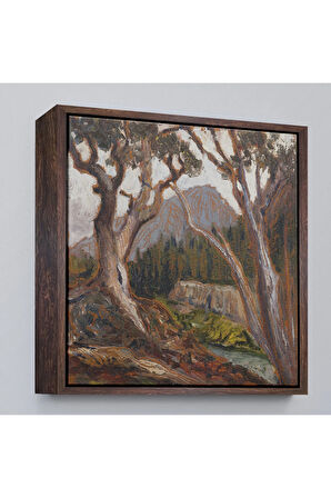 Ahşap Çerçeveli Loch Vale'Den Long Zirvesi, Estes Park, Colorado Tablosu-8349