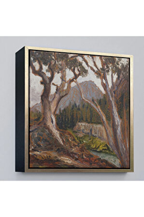 Ahşap Çerçeveli Loch Vale'Den Long Zirvesi, Estes Park, Colorado Tablosu-8349